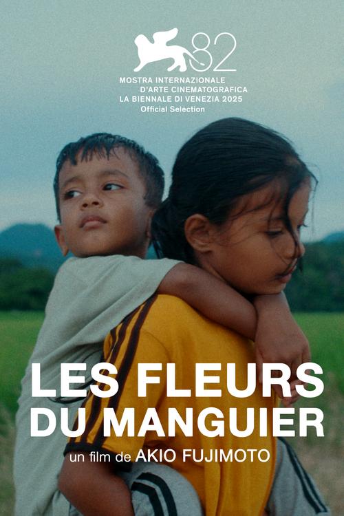 LES FLEURS DU MANGUIER